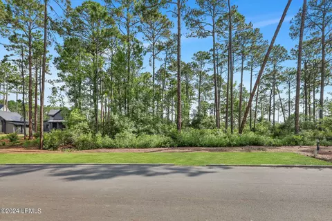 20 Redroot St, Bluffton, SC 29910 photo 21