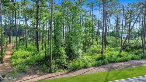 20 Redroot St, Bluffton, SC 29910 photo 16