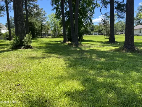 tbd Elm St E, Hampton, SC 29924 photo 3