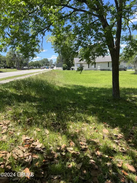 tbd Elm St E, Hampton, SC 29924 photo 2