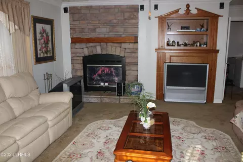 Other - 344 Suzie Ln, Brunson, SC 29911 photo 3 of 10