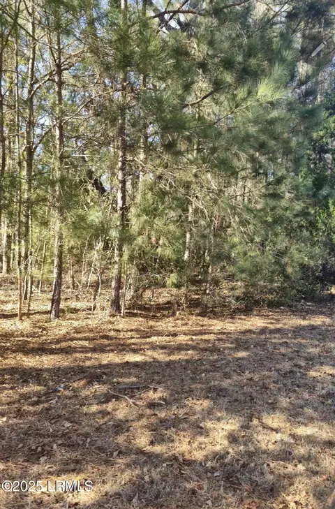 tbd Drayton Dr, Ridgeland, SC 29936