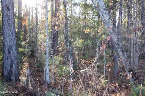 tbd Main Or Walterboro Apt 63 Hwy N, Varnville, SC 29944