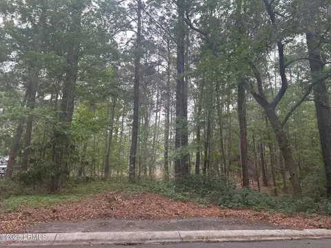9 Turtle Ln, Beaufort, SC 29907