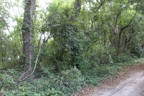 000 Harvey St, Brunson, SC 29911