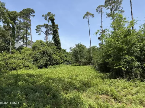 5 Caladium Ct, Hilton Head Island, SC 29926