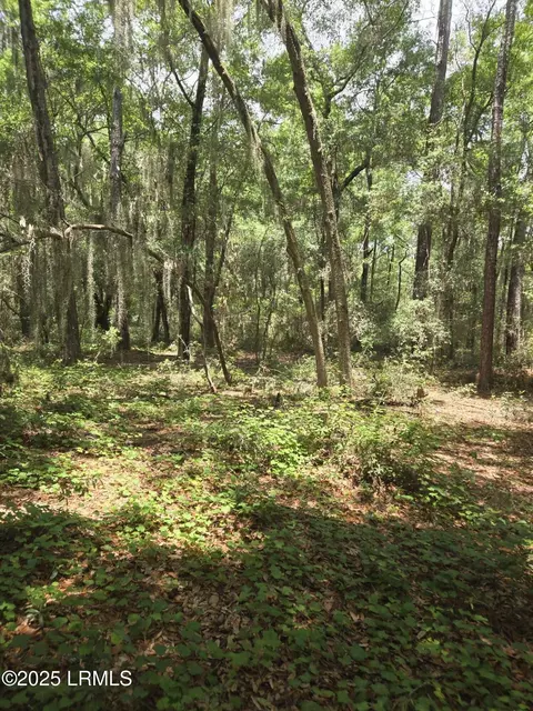 tbd Mclane St, Saint Helena Island, SC 29920