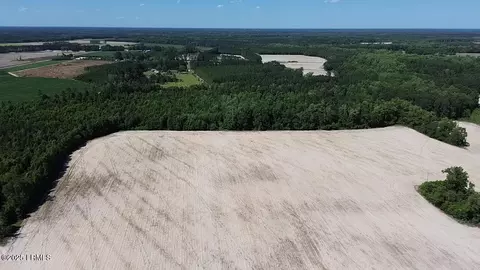 0000 Burnell Rd, Estill, SC 29918 photo 3