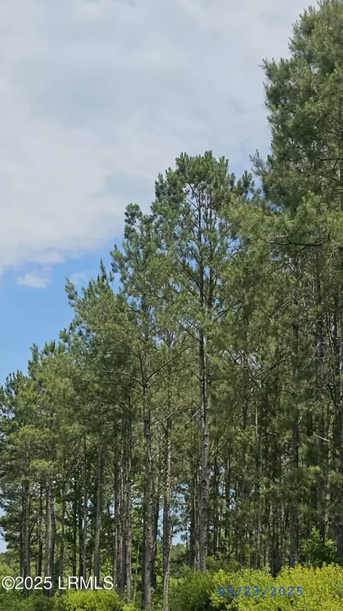 1659 Tillman Rd, Ridgeland, SC 29936