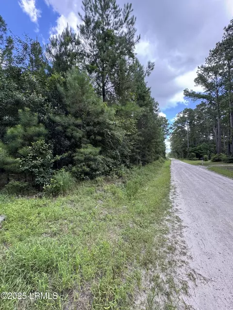 tbd Salleys Ln, Pineland, SC 29934