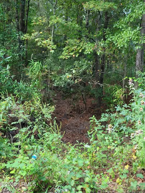 tbd Tina Manker Rd, Ridgeland, SC 29936