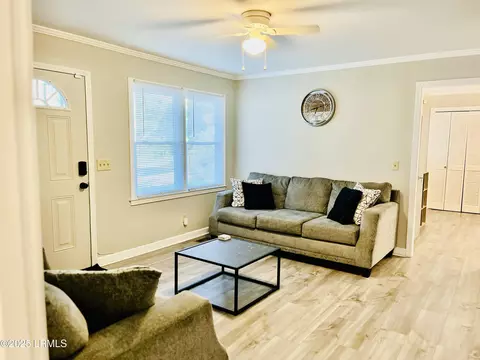 Living - 305 Alabama St, Hampton, SC 29924 photo 1 of 1
