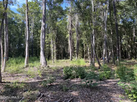51 Mary Smalls Rd, Saint Helena Island, SC 29920