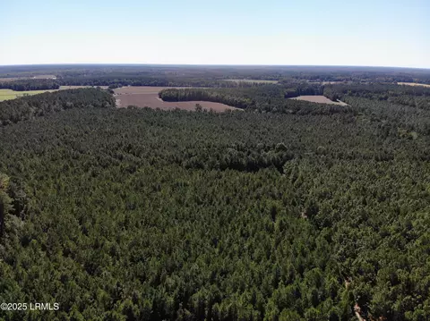 Other - 2443 Mt Pleasant Rd, Ehrhardt, SC 29081 photo 17 of 24