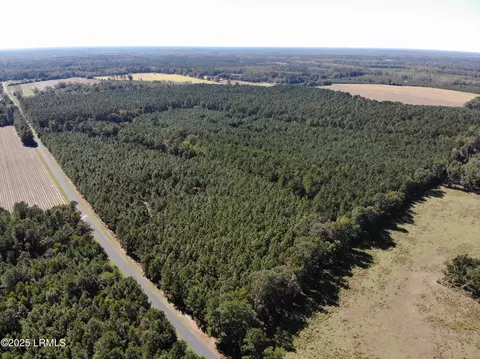 Other - 2443 Mt Pleasant Rd, Ehrhardt, SC 29081 photo 14 of 24