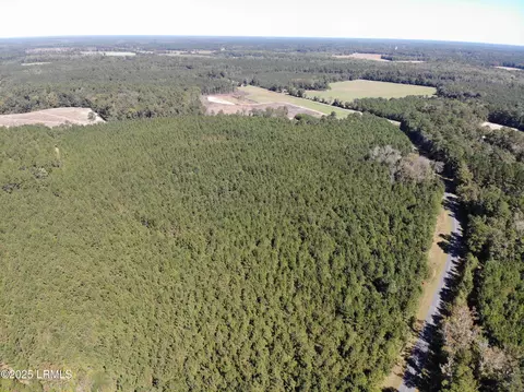Other - 2443 Mt Pleasant Rd, Ehrhardt, SC 29081 photo 11 of 24