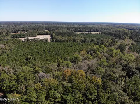 Other - 2443 Mt Pleasant Rd, Ehrhardt, SC 29081 photo 6 of 24
