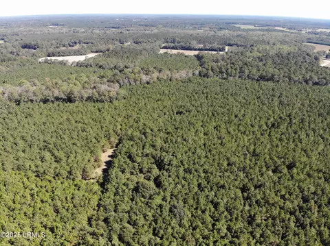 tbd Hi Ki Pin Rd, Ehrhardt, SC 29081 photo 1