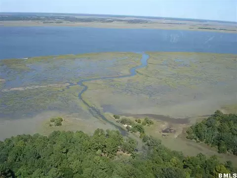 2 Black Skimmer Ct, Beaufort, SC 29907
