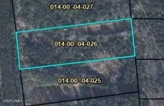 tbd Cotton Hill Rd, Pineland, SC 29934
