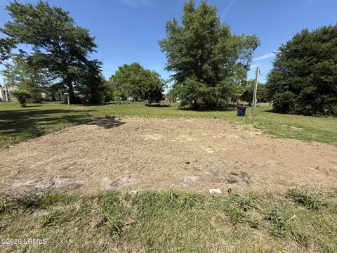 485 Weed Ave, Olar, SC 29843 photo 4