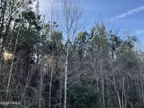 00 Oliver St, Hampton, SC 29924 photo 8