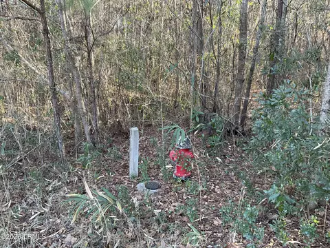 00 Oliver St, Hampton, SC 29924 photo 6