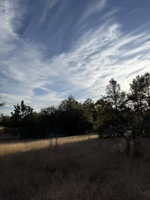 tbd Stokes Bluff Rd, Garnett, SC 29922