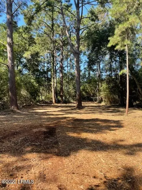 49 Dolphin Point Dr, Beaufort, SC 29907