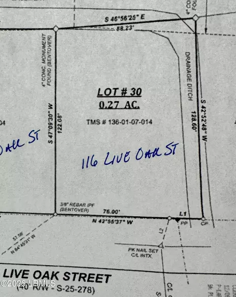 116 Live Oak St, Varnville, SC 29944