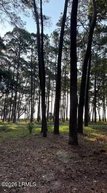 87 Martinangel Ln, Daufuskie Island, SC 29915