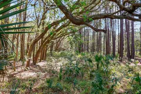 1 Canters Ct, Bluffton, SC 29910 photo 10