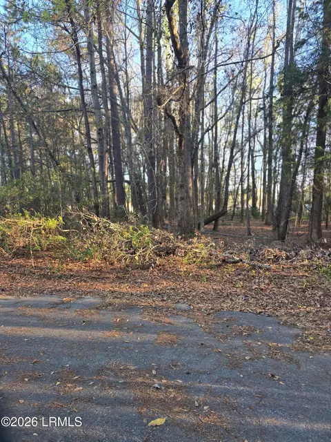 lot12 Freeman St, Brunson, SC 29911
