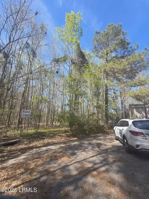 lot5 Freeman St, Hampton, SC 29924 photo 6