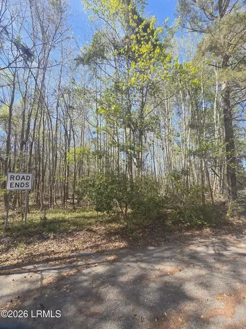 lot5 Freeman St, Hampton, SC 29924 photo 2