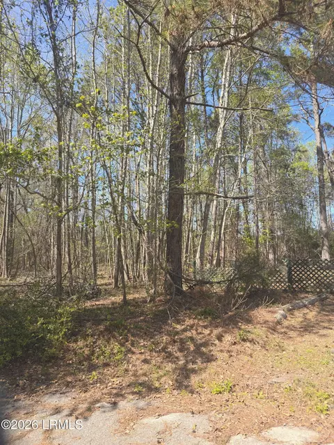 lot5 Freeman St, Hampton, SC 29924