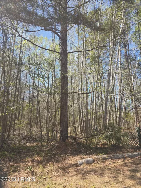 lot5 Freeman St, Hampton, SC 29924 photo 5
