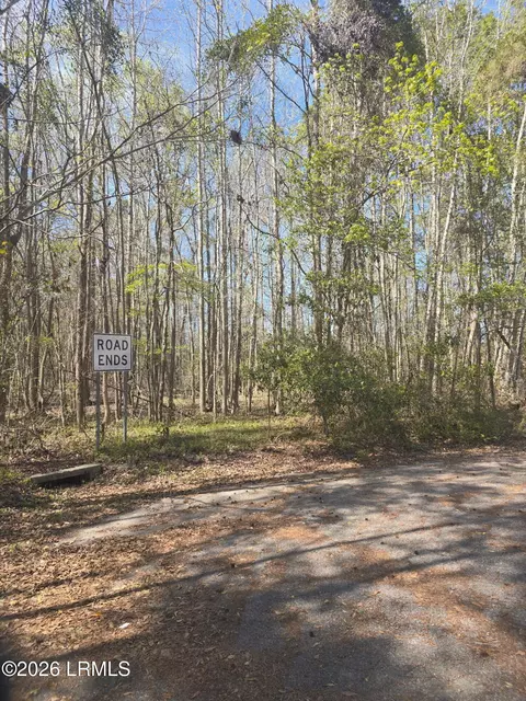 lot5 Freeman St, Hampton, SC 29924 photo 3