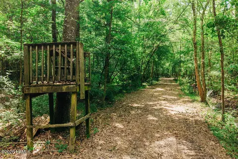 0 Parnel Rd, Cope, SC 29038 photo 10