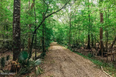0 Parnel Rd, Cope, SC 29038 photo 11