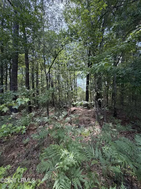 tbd Hillcrest Dr, Hampton, SC 29924 photo 3
