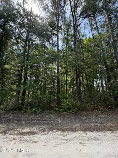 tbd Hillcrest Dr, Hampton, SC 29924 photo 2