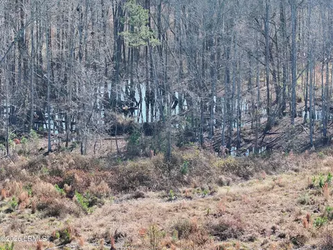tbd A Midway St, Bamberg, SC 29003 photo 6