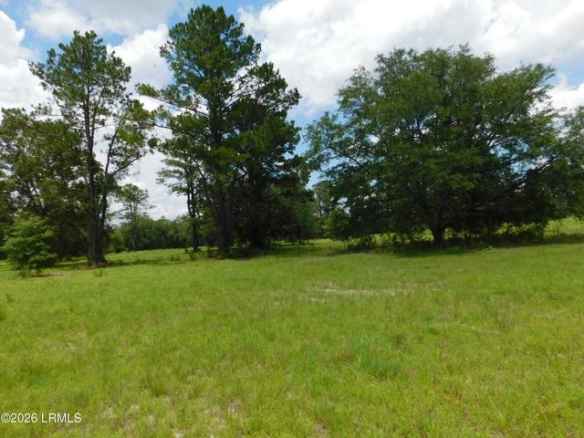 tbd Gillison Branch Rd, Ridgeland, SC 29936