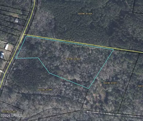 tbd Cohen Rd, Pineland, SC 29934