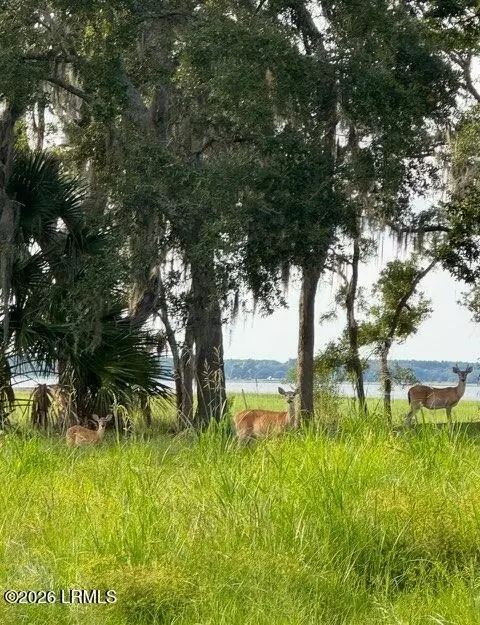 7 Turnstone Dr N, Beaufort, SC 29907