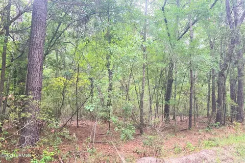 00 Wade Hampton Rd, Hampton, SC 29924 photo 8