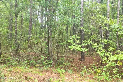 00 Wade Hampton Rd, Hampton, SC 29924 photo 12