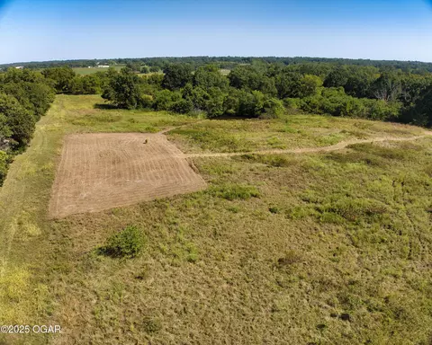 Other - 43 Spring Flood Road Goodman Mo 64843, Goodman, MO 64843 photo 31 of 73