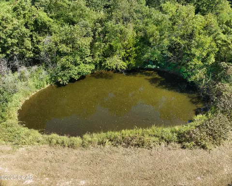 View/Area - 43 Spring Flood Road Goodman Mo 64843, Goodman, MO 64843 photo 21 of 21
